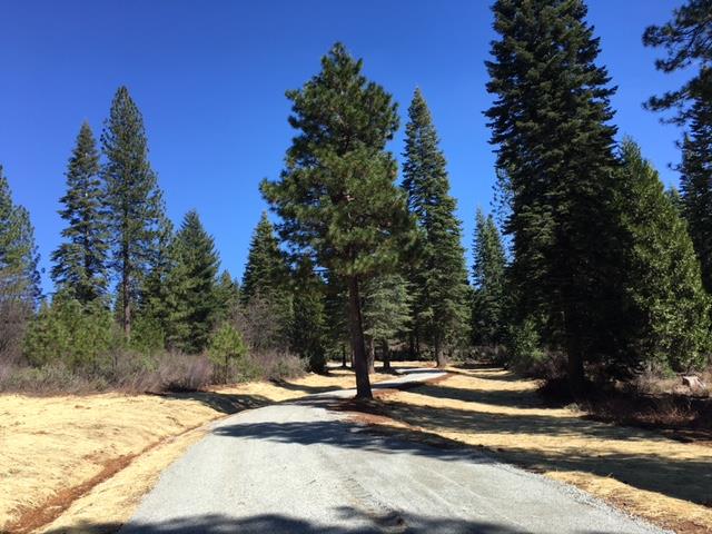Land in Nevada City 2