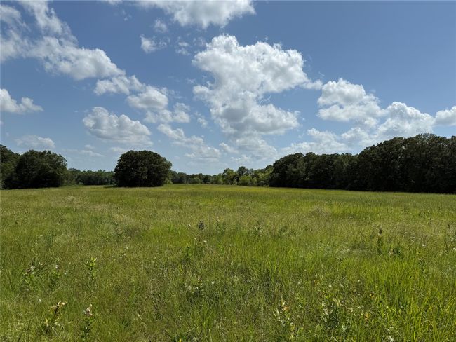 View of woods with a view of rural / pastoral area | Image 16