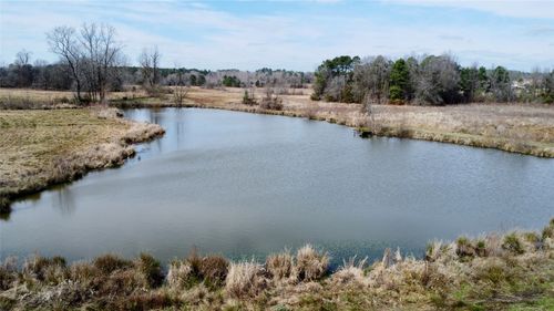 TBD County Road 1460, Linden, TX, 75563 | Card Image