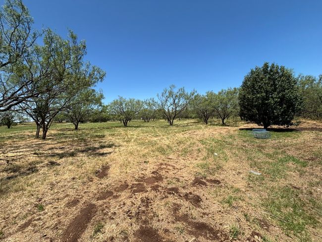 6480 Fm 603, House other with 4 bedrooms, 2 bathrooms and null parking in Clyde TX | Image 20