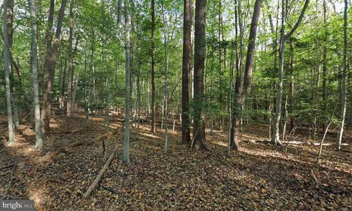 161 Yarnick Rd, GREAT FALLS, VA, 22066-3525 | Card Image