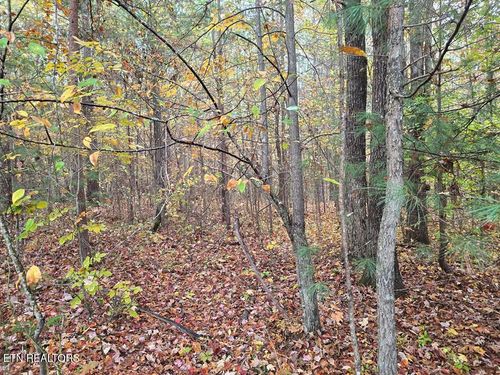 737 E Robbins Rd, Robbins, TN, 37852 | Card Image