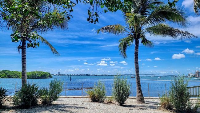 APT-310 - 835 S Osprey Ave, Condo with 2 bedrooms, 2 bathrooms and null parking in SARASOTA FL | Image 91