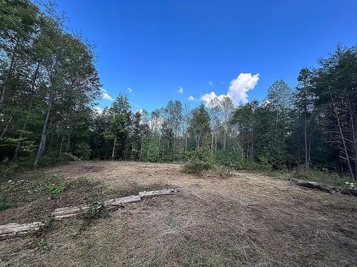 9100 Urubamba Dr, Lyles, TN, 37098-1964 | Card Image