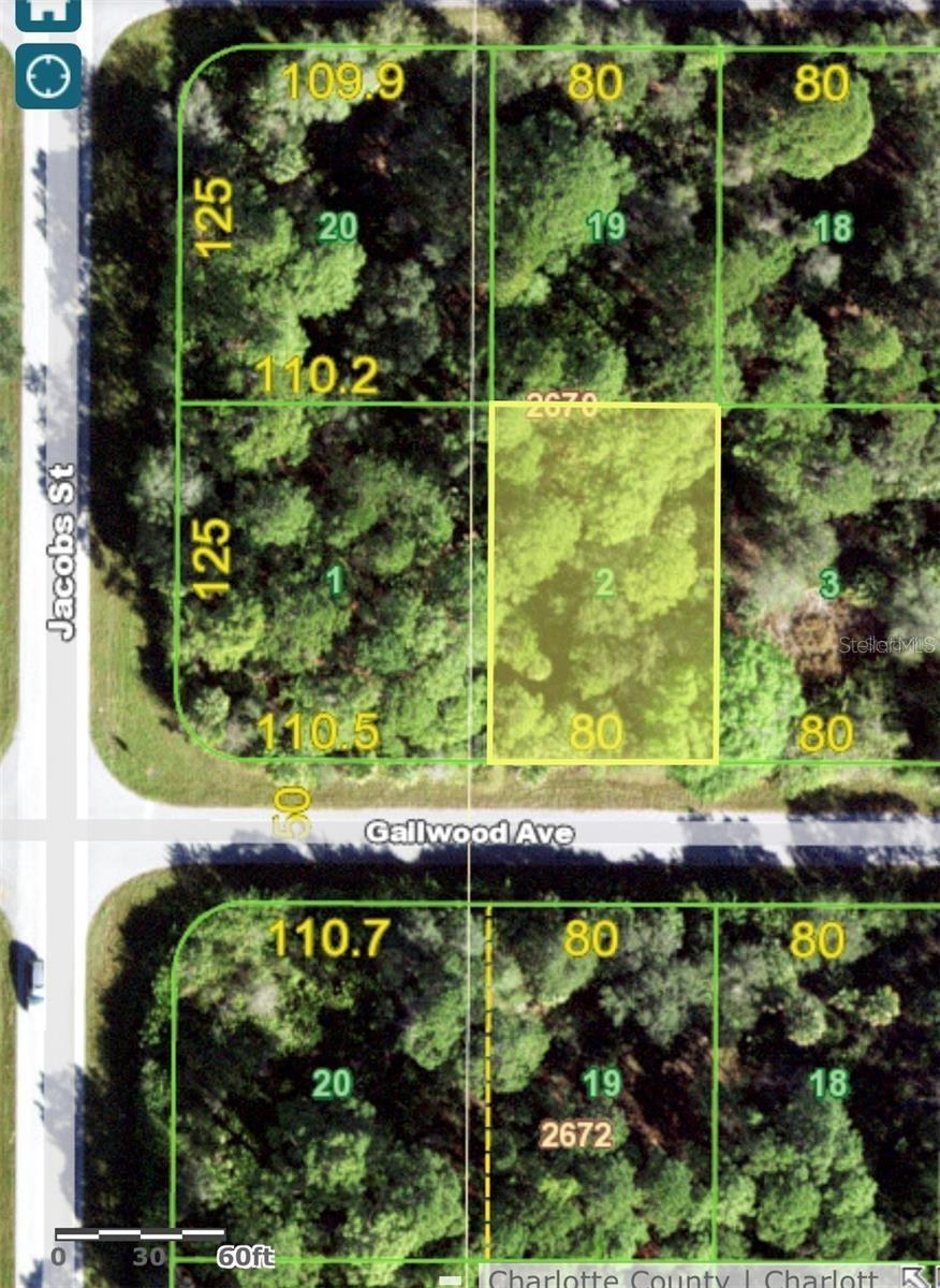 Land in PORT CHARLOTTE