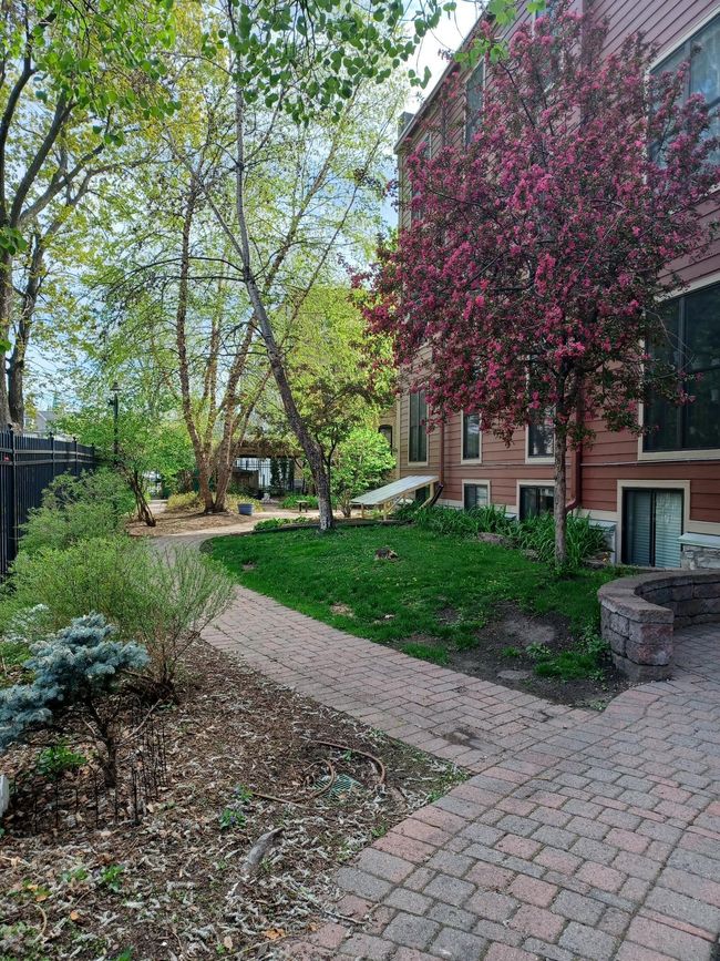 Courtyard path | Image 33