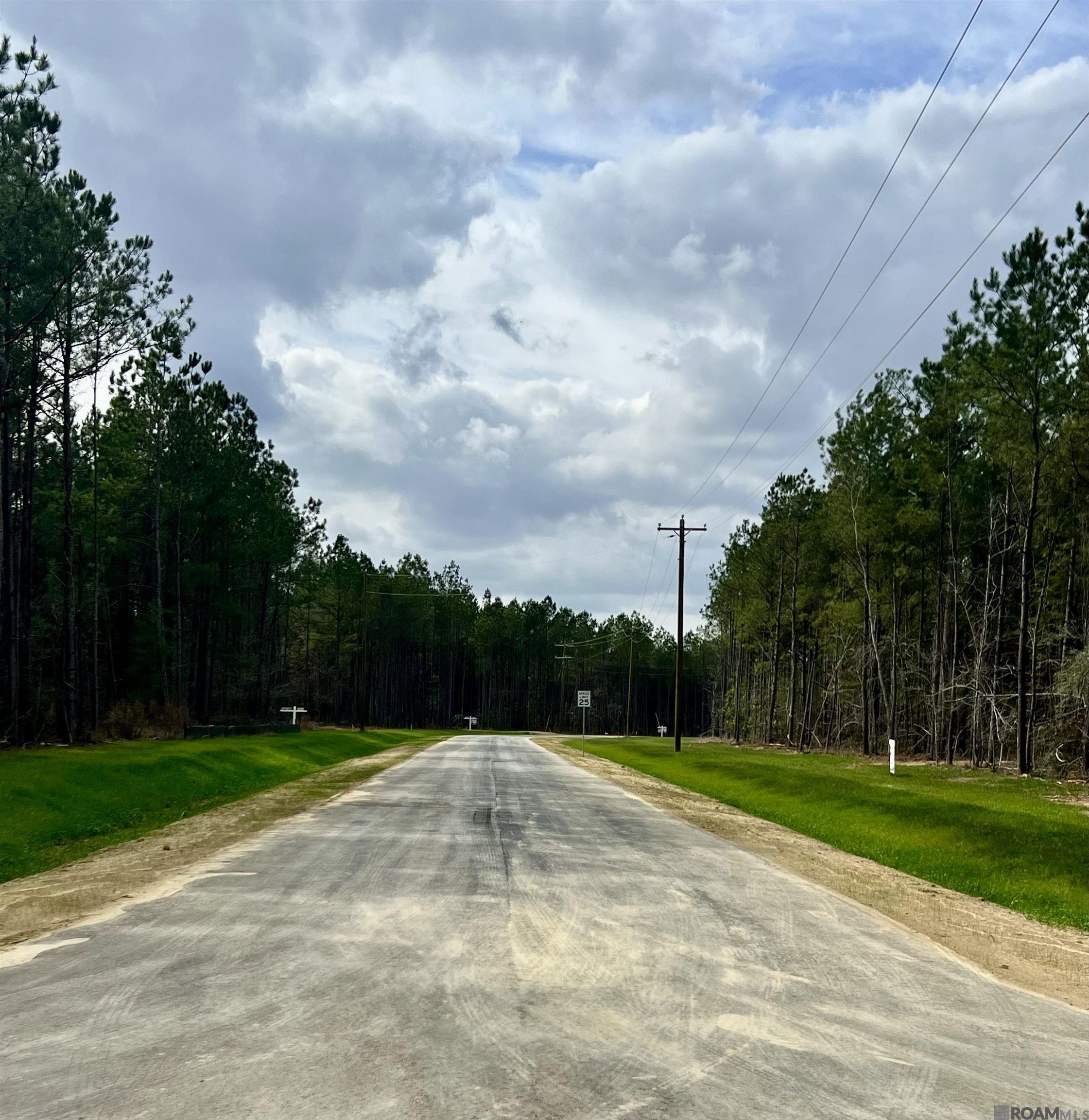 Land in Livingston 2