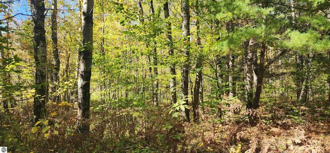 40 Acres Truesdale Road, Home with 0 bedrooms, 0 bathrooms and null parking in Manton MI | Image 16