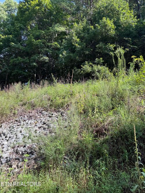 115 Hughes Hollow Rd, Philadelphia, TN, 37846 | Card Image