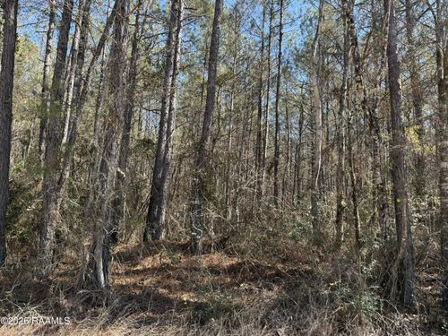 TBD Carrier Rd, Oakdale, LA, 71463 | Card Image
