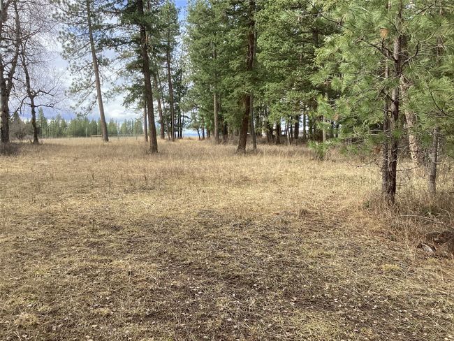 1 Eagle Pass Road, Home with 0 bedrooms, 0 bathrooms and null parking in Charlo MT | Image 34