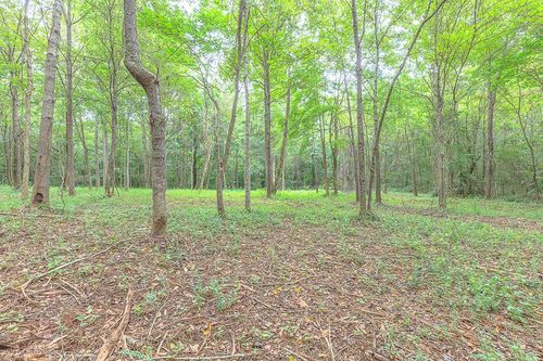TRACT 5 Old Dalton Cleveland Hwy, Cohutta, GA, 30710 | Card Image
