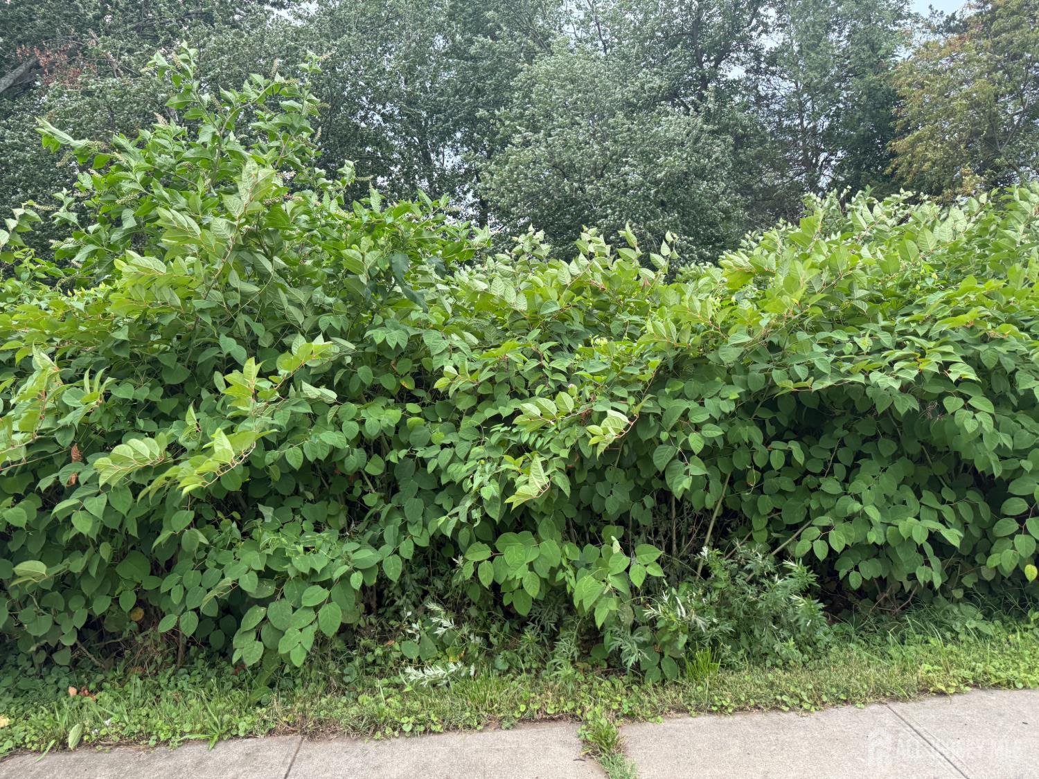 Land in Piscataway