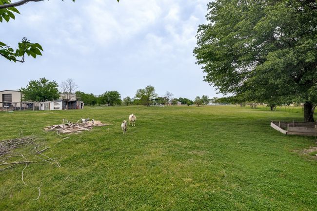 Pond on property in the back - Goats not included! | Image 18