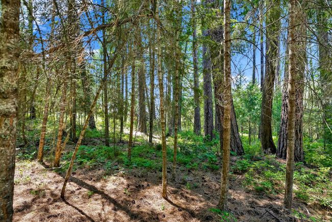 3264 Shady Ct, Home with 0 bedrooms, 0 bathrooms and null parking in Valley WA | Image 7