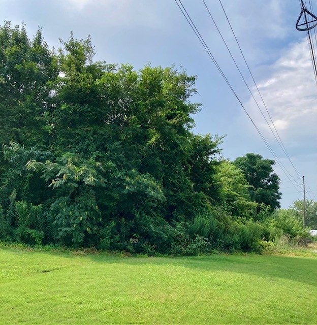 Commercial Sale in Opelika