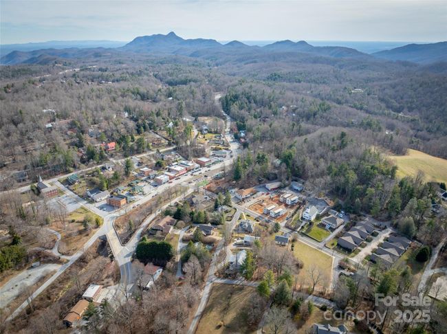 F - 43 Skyvue Ct, Townhouse with 2 bedrooms, 3 bathrooms and null parking in Saluda NC | Image 43