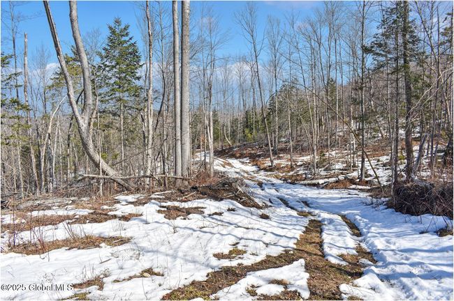 48 Durkin Rd, Home with 0 bedrooms, 0 bathrooms and null parking in North Creek NY | Image 54