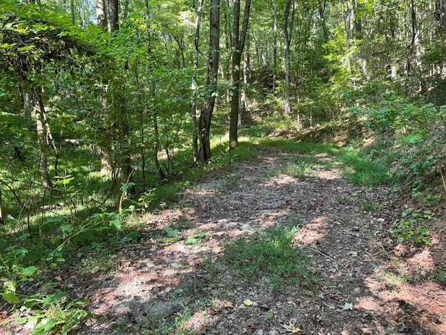 76 Tally Cove Rd, Home with 0 bedrooms, 0 bathrooms and null parking in Jasper GA | Image 14