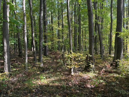 2 Deep Lake Rd, SARONA, WI, 54870 | Card Image