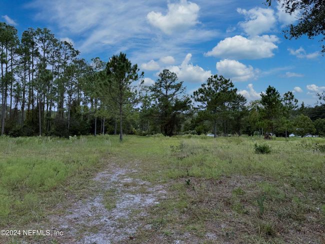 114 Osceola Rd, Home with 0 bedrooms, 0 bathrooms and null parking in GEORGETOWN FL | Image 13
