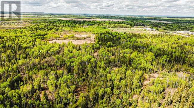 98196 Highway 681, Home with 0 bedrooms, 0 bathrooms and null parking in Rural Saddle Hills County AB | Image 23