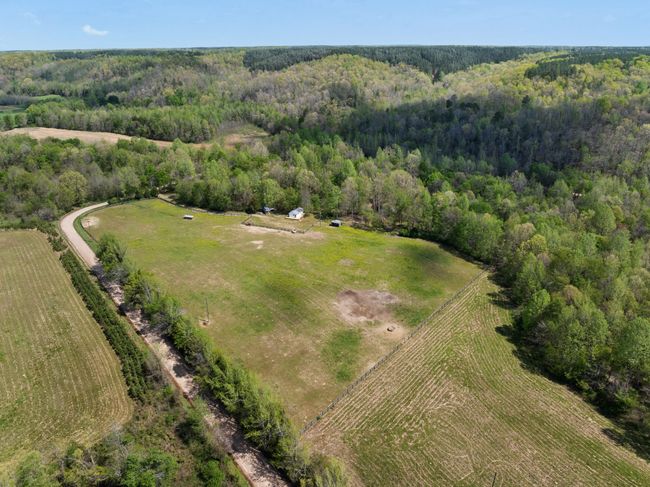 2631 Old Weatherford Creek Rd, Home with 0 bedrooms, 0 bathrooms and null parking in Lutts TN | Image 46