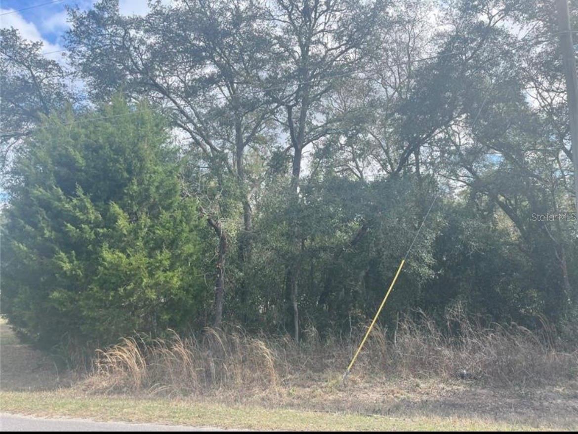Land in BELLEVIEW 4