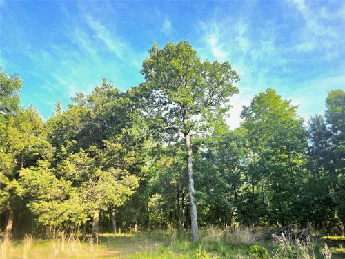 Lot 377 Timber Rdg, LaRue, TX, 75770 | Card Image