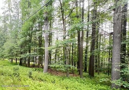 0 Stony Hollow Circle, Lehman Twp, PA, 18324 | Card Image