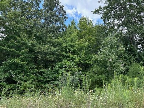 Lot 89 W Bobcat Ln, Wilder, TN, 38589 | Card Image