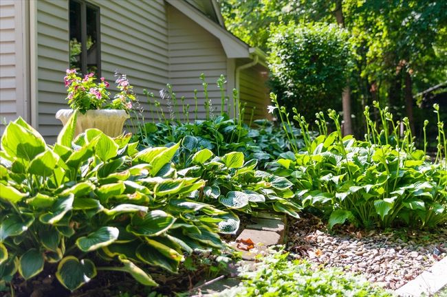 21 Bent Tree Ln, House other with 3 bedrooms, 3 bathrooms and null parking in Towanda IL | Image 41