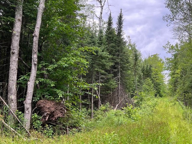 Trails! | Image 43