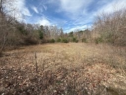 Land in Marlborough 2