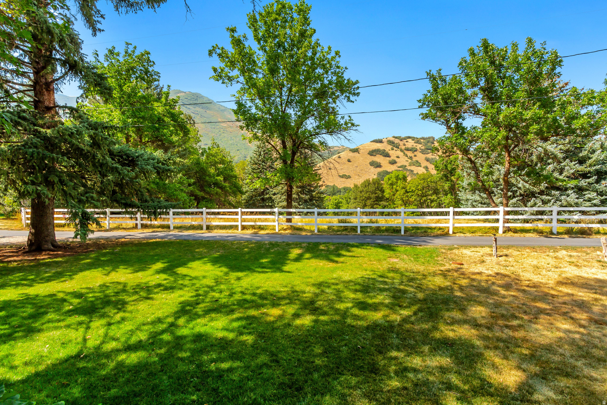 Land in Springville 4