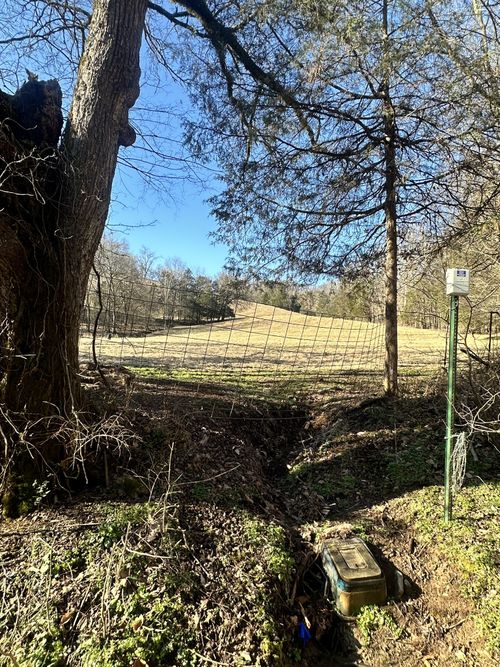 0 Oak Grove Rd, Belvidere, TN, 37306 | Card Image