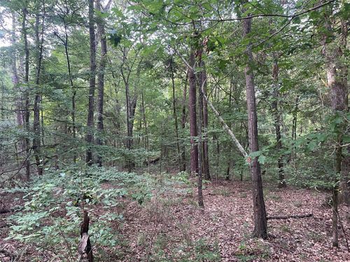 TBD Fm 16, Winona, TX, 75792 | Card Image