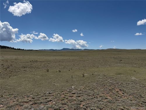 1338 Chimapavi Trl, HARTSEL, CO, 80449 | Card Image