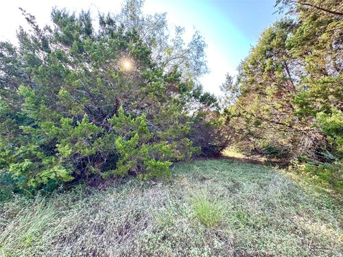 45001 Fringewood Dr, Whitney, TX, 76692-5905 | Card Image