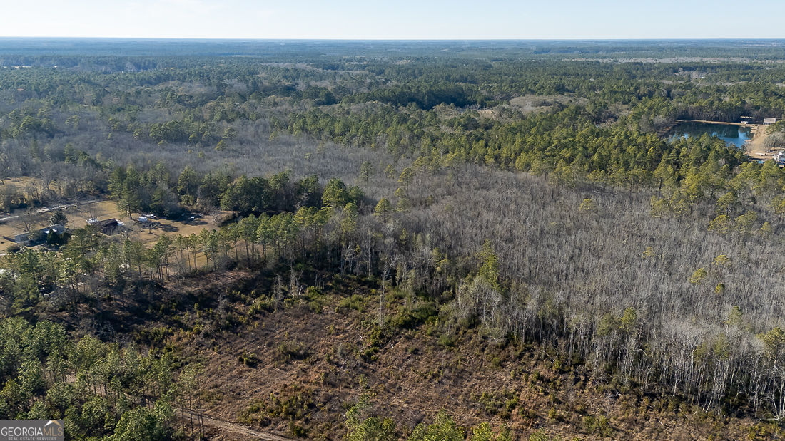 Land in Guyton