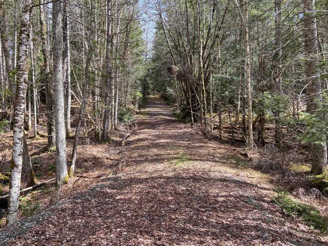 1993 Carter Road, House other with 2 bedrooms, 0 bathrooms and null parking in Burke VT | Image 23