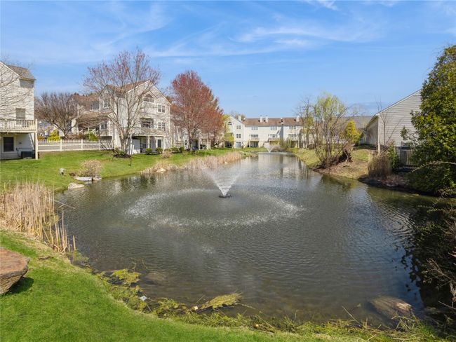 Community pond | Image 37