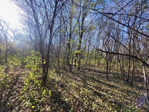 TBD 438th St, Harris, MN, 55032 | Card Image