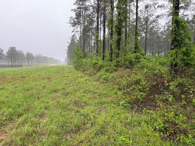 0 Richardson Rd E, Home with 0 bedrooms, 0 bathrooms and null parking in Livingston TX | Image 25