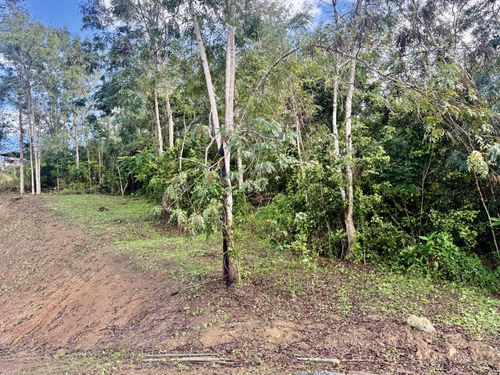 Ave. Praderas Pl Bo. Rincon Lomas, Cayey, PR, 00736 | Card Image