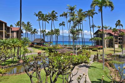 D207 - 3543 Lower Honoapiilani Rd, Condo with 1 bedrooms, 1 bathrooms and null parking in Lahaina HI | Image 3