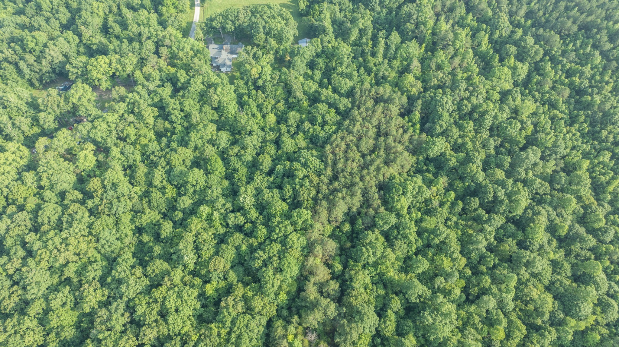Land in Lexington 5