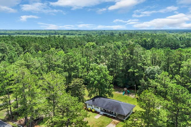 265 Powell Loop, House other with 3 bedrooms, 2 bathrooms and 5 parking in Andrews SC | Image 27