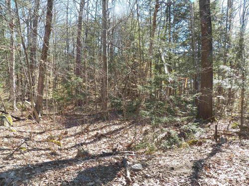 194-14-194 Seminole Rd, Hillsborough, NH, 03244-4439 | Card Image