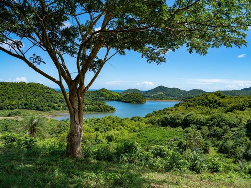 km-03-7759 Ramal, PATILLAS, PR, 00723 | Card Image